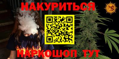 мдпв Гатчина