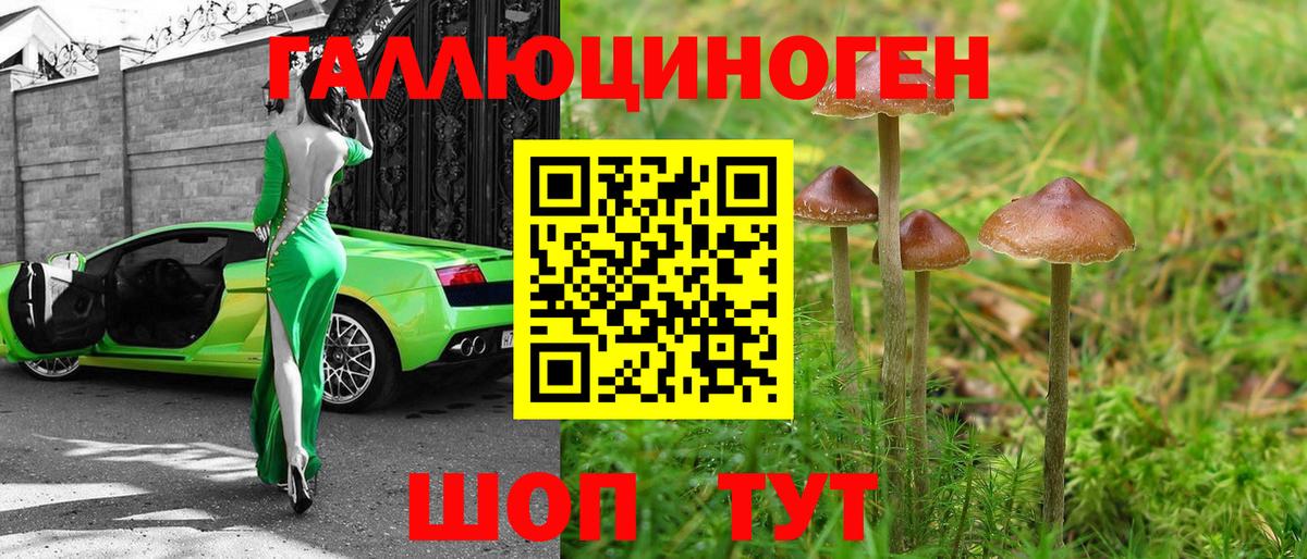 Псилоцибиновые грибы Psilocybe  Вход с VPN  Вязники  Галлюциногенные грибы Magic Shrooms 